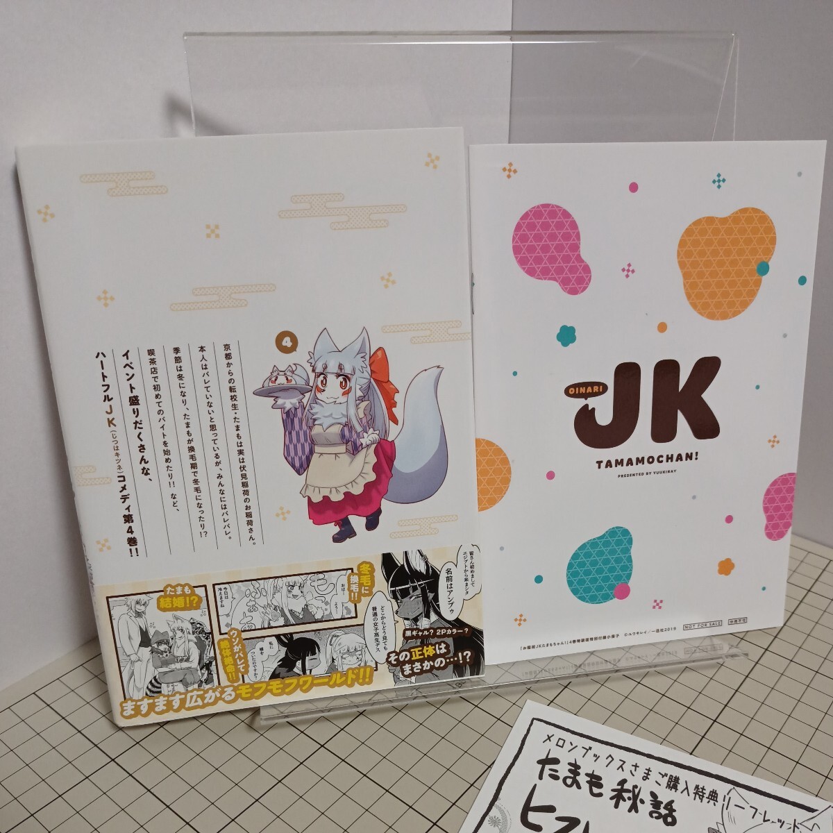 送料無料(匿名配送) 特装版　お稲荷ＪＫたまもちゃん！　４ （ＲＥＸ　ＣＯＭＩＣＳ） ユウキレイ ★☆★★ 限定版 小冊子・リーフレット付_画像2