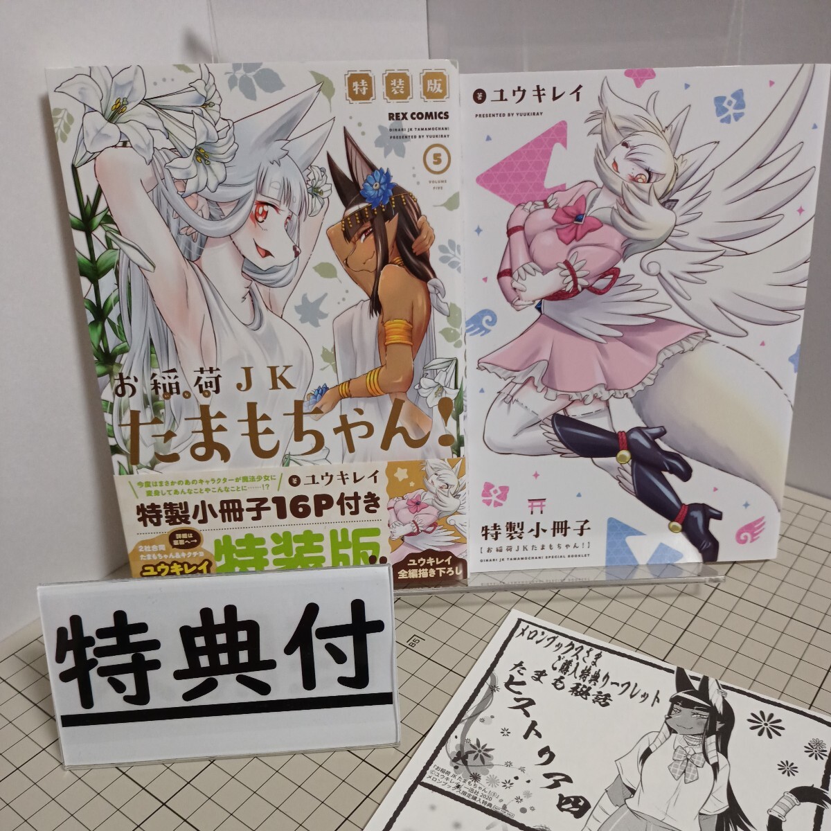 送料無料(匿名配送) 特装版　お稲荷ＪＫたまもちゃん！　５ （ＲＥＸ　ＣＯＭＩＣＳ） ユウキレイ ★☆★★ 限定版 小冊子・リーフレット付_画像1