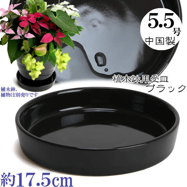 植木鉢用受皿 おしゃれ 安い 陶器 サイズ 17.5cm KN1171 5.5号 ブラック 室内 屋外 黒 色_画像2