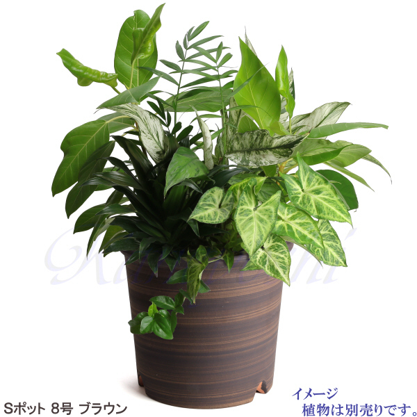  plant pot stylish cheap ceramics size 24.5cm S pot 8 number Brown . plate attaching interior outdoors tea color 