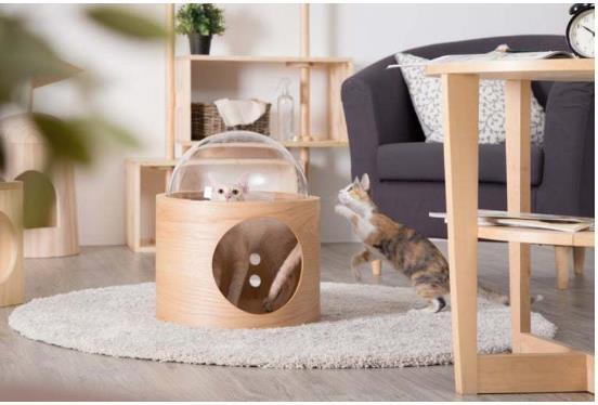  popular new goods! cat cat walk cat step bed house wall attaching natural tree cosmos 