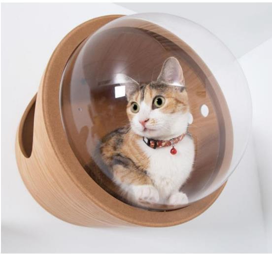  popular new goods! cat cat walk cat step bed house wall attaching natural tree cosmos 