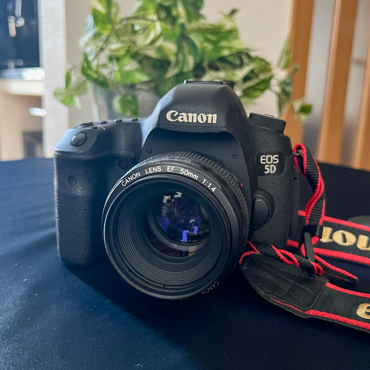 Canon EOS 5D Mark III デジタル一眼レフカメラ + 単焦点レンズ EF50mm F1.4 USM 他リグなどおまけ多数の画像1