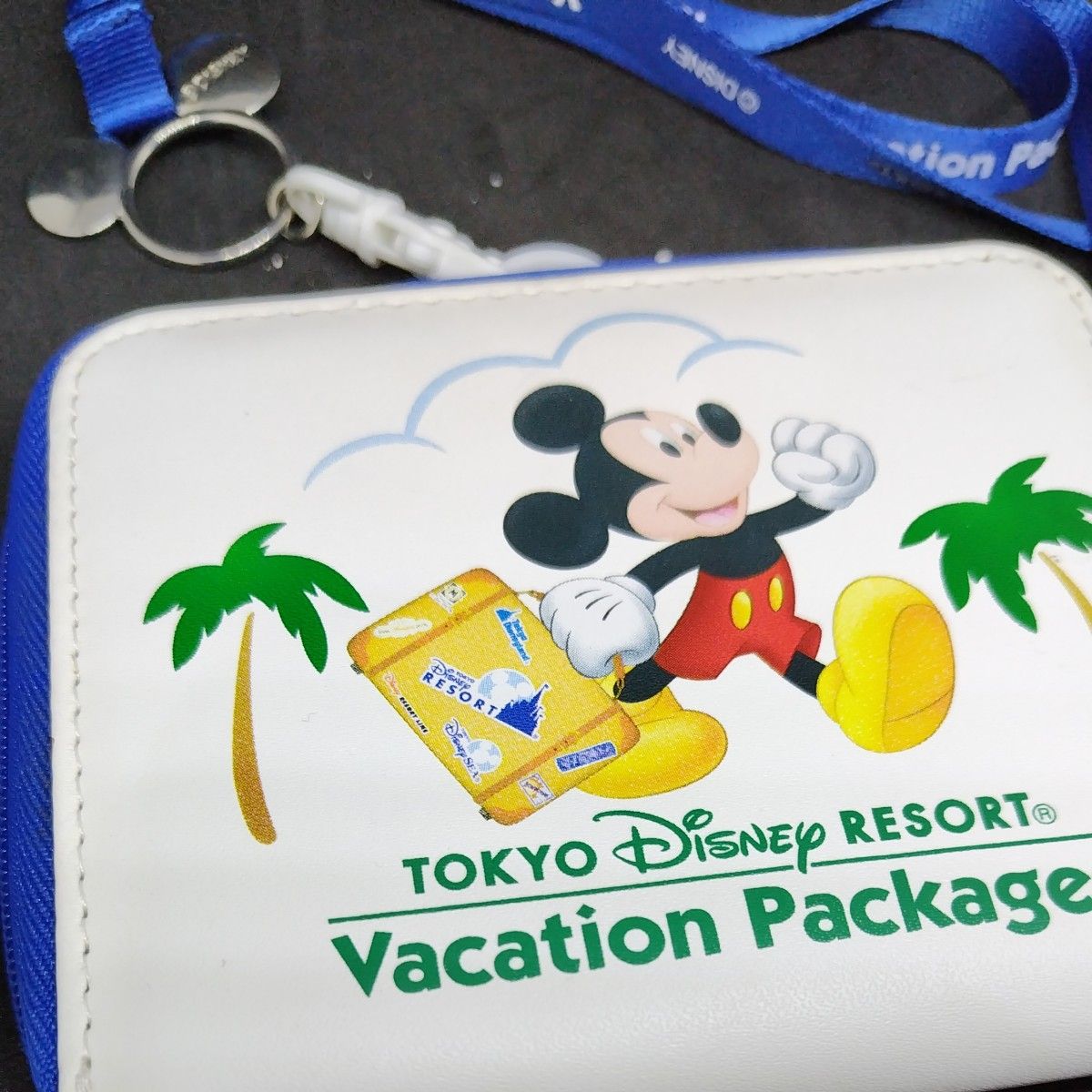 ディズニーバケーションパッケージコインケースウォレットパス ディズニーバケーションパッケージコインケースウォレットパス
