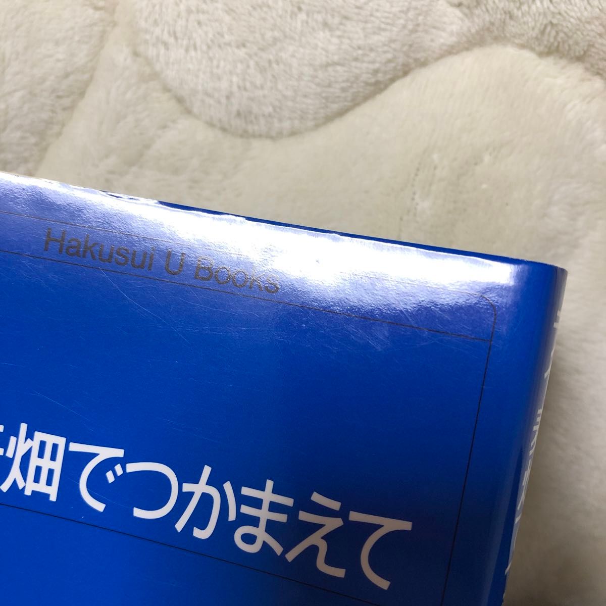 ライ麦畑でつかまえて （白水Ｕブックス　５１） Ｊ．Ｄ．サリンジャー／〔著〕　野崎孝／訳