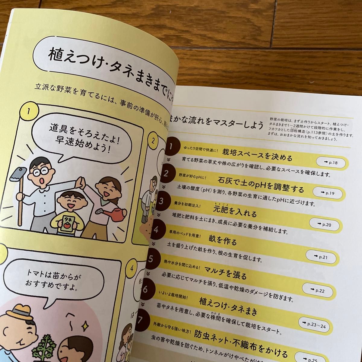 はじめてでも大収穫！野菜づくり超入門　春夏編 （生活実用シリーズ　ＮＨＫ趣味の園芸やさいの時間） 藤田智／著