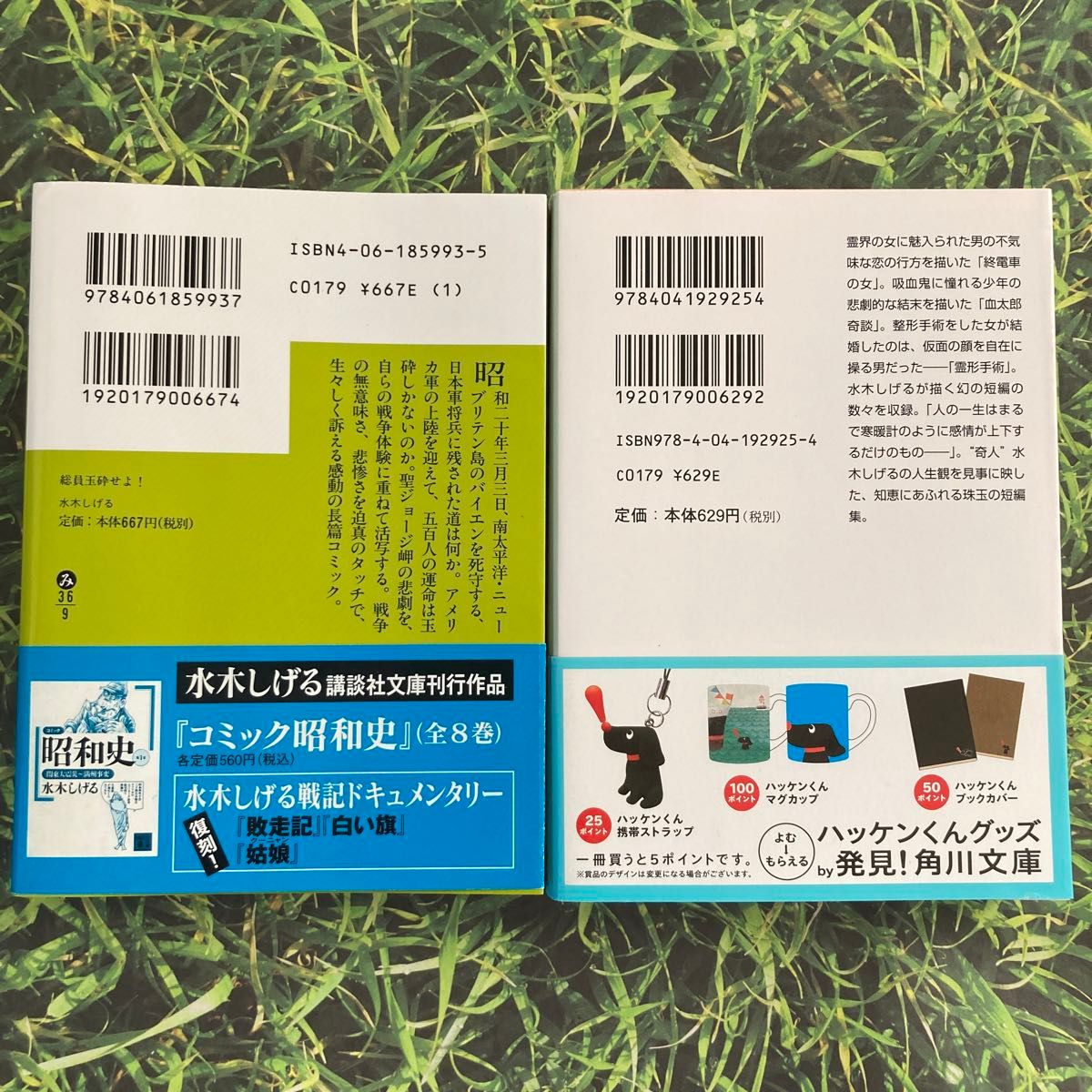 水木しげる☆総員玉砕せよ！＊畏悦録2冊セット