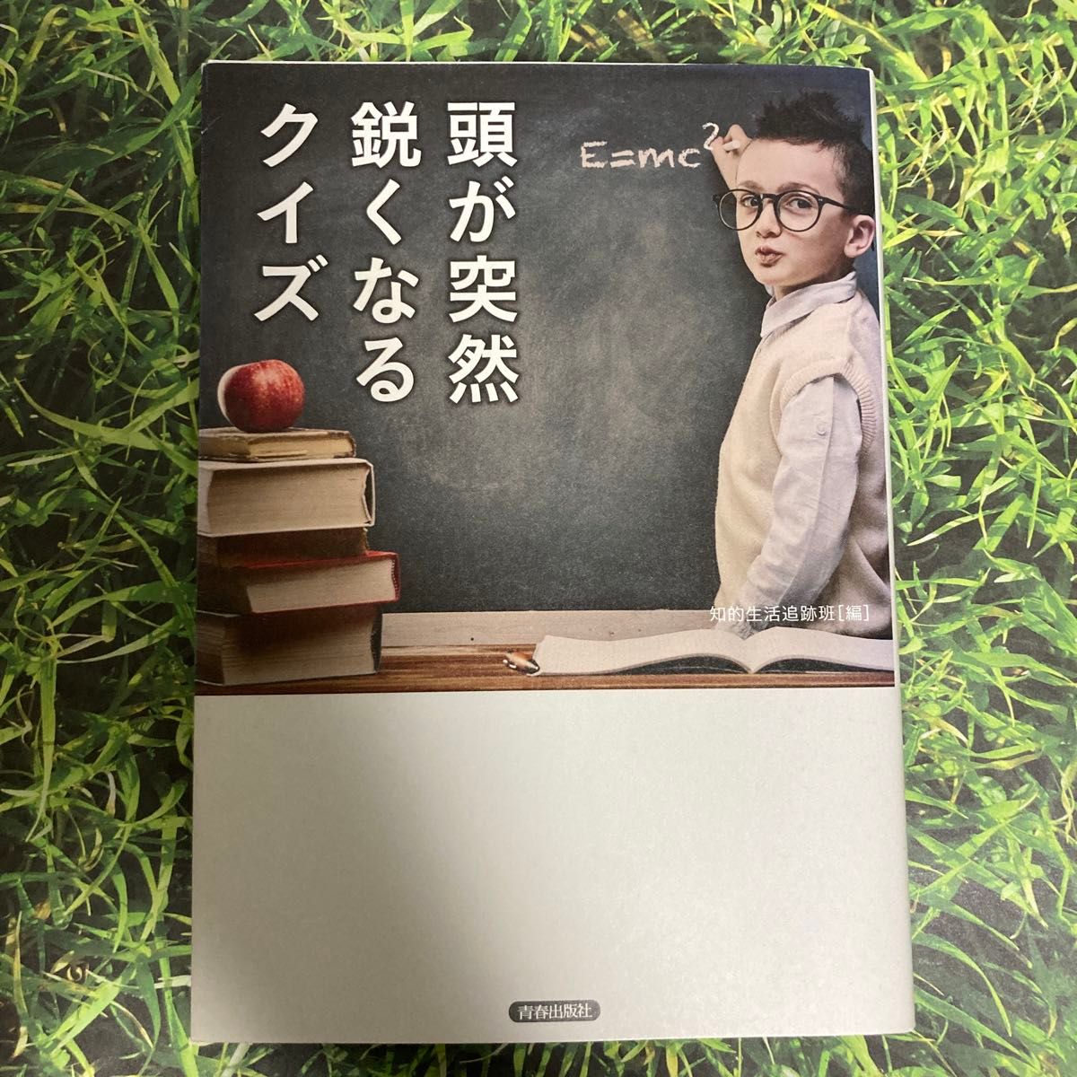 頭が突然鋭くなるクイズ 知的生活追跡班／編