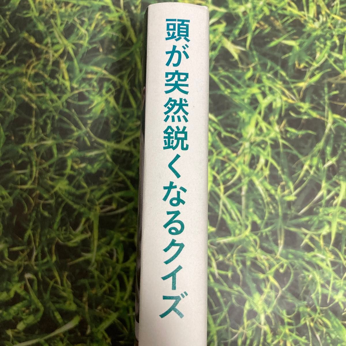 頭が突然鋭くなるクイズ 知的生活追跡班／編