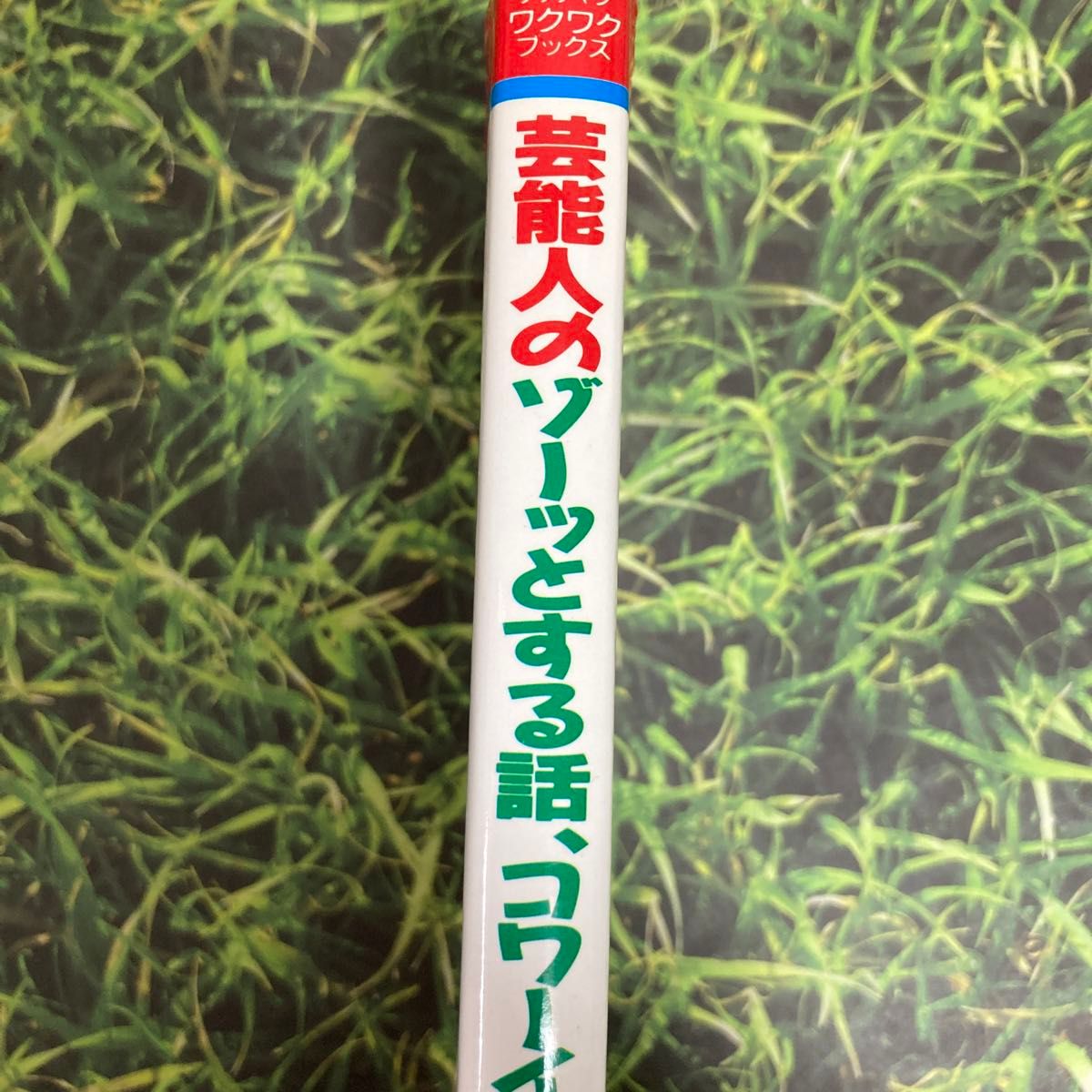 芸能人のゾーツとする話☆コワーイ話[ユーレイ、超能力、UFOに接近遭遇しちゃった]