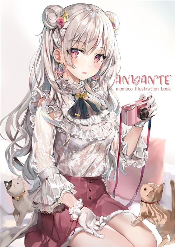 「ANDANTE」さしみねこ屋　同人誌 フルカラーイラスト集 B5 20p_画像1