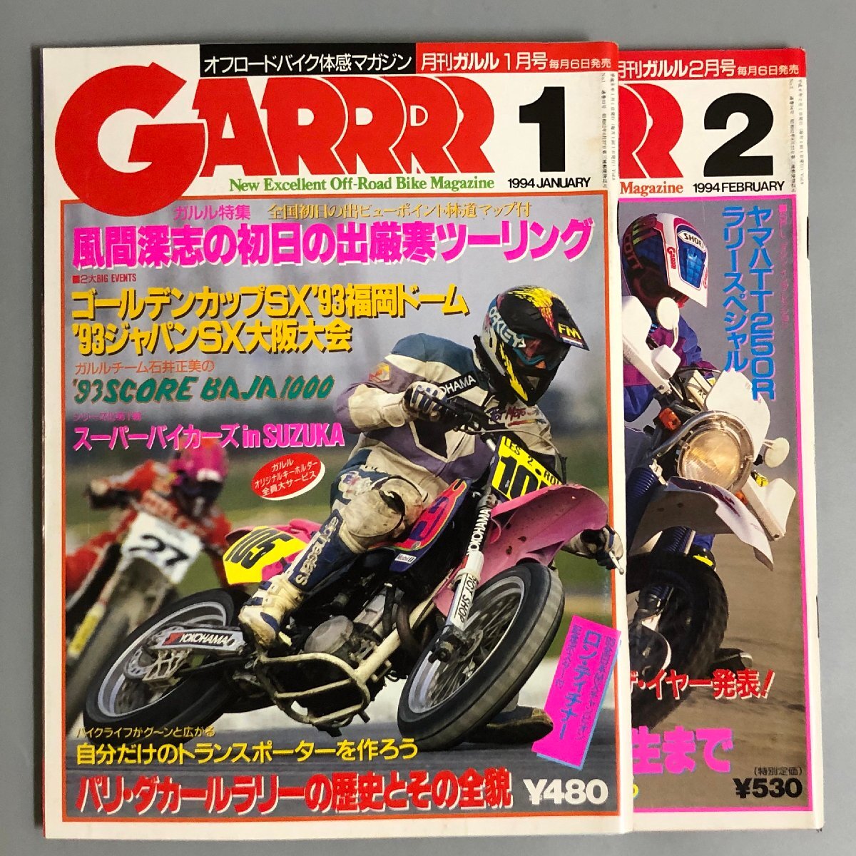 『GARRRR 1994年』2冊　付録欠品　月刊ガルル_画像1