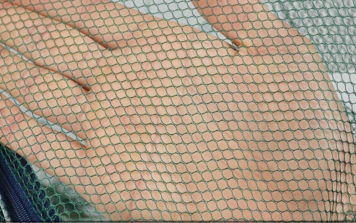 魚取り網　ナイロン　折り畳み　漁具　ケージ　魚網　かご　一網打尽　仕掛け　6穴 小魚 網かご 超軽量 エビ　カニ　仕掛け　釣り