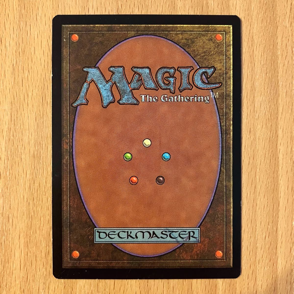 MTG 平地 Plains ひまわり APACランド プロモーションカード MTG 平地 Plains ひまわり APACランド プロモーションカード