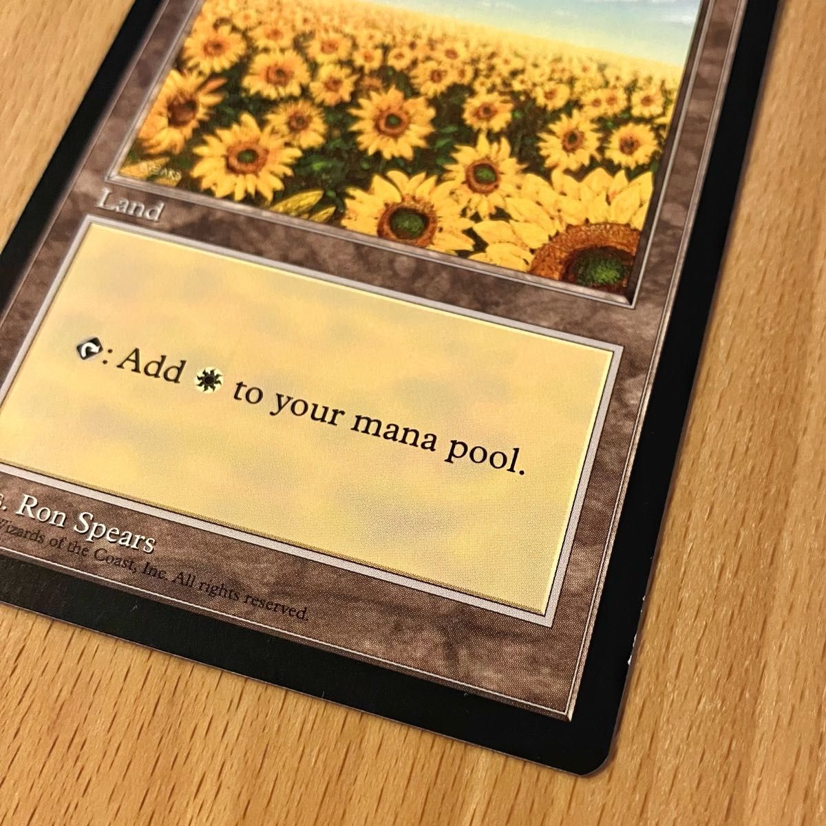 MTG 平地 Plains ひまわり APACランド プロモーションカード MTG 平地 Plains ひまわり APACランド プロモーションカード