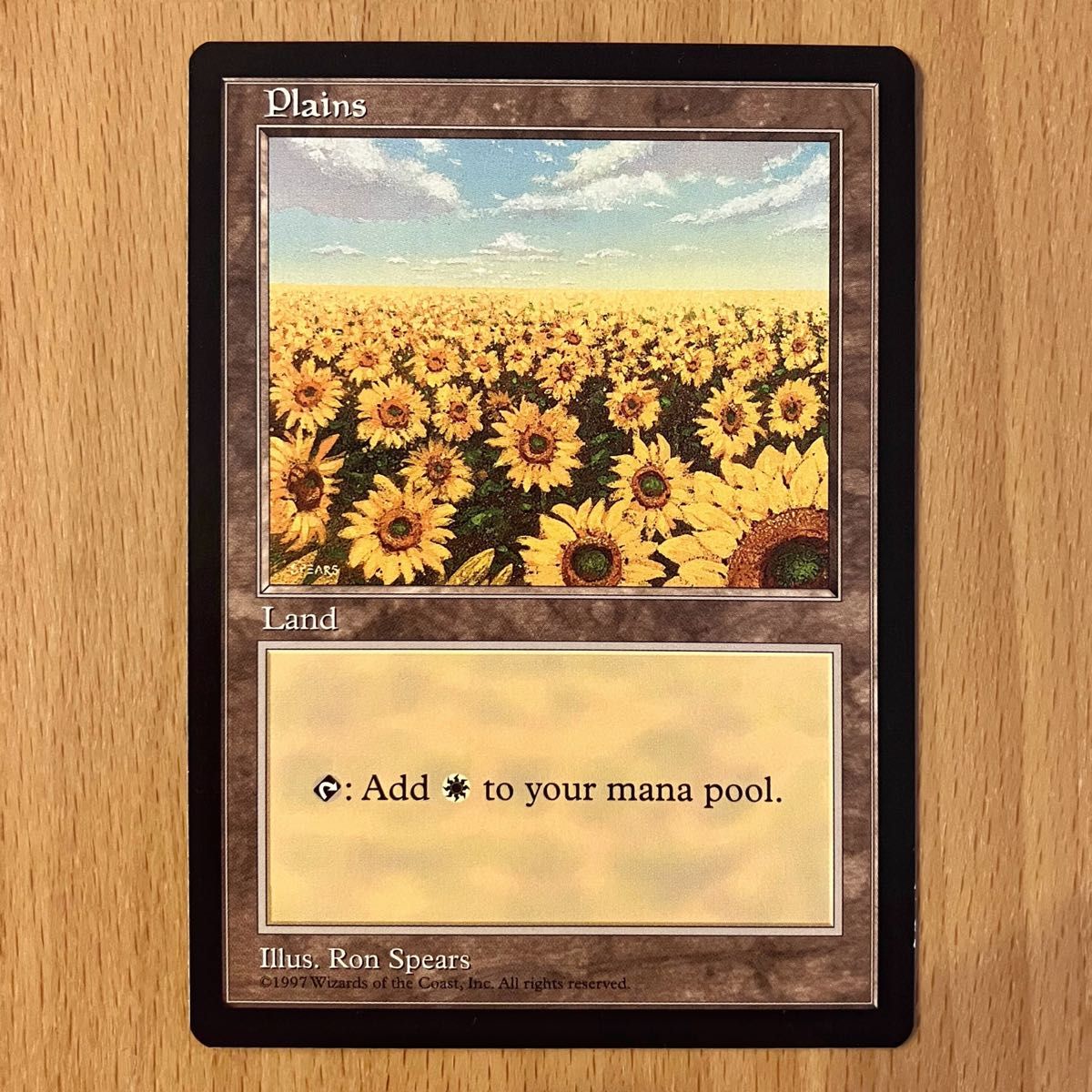 MTG 平地 Plains ひまわり APACランド プロモーションカード 土地 黒枠 旧枠 英語版 マジック：ザ・ギャザリング