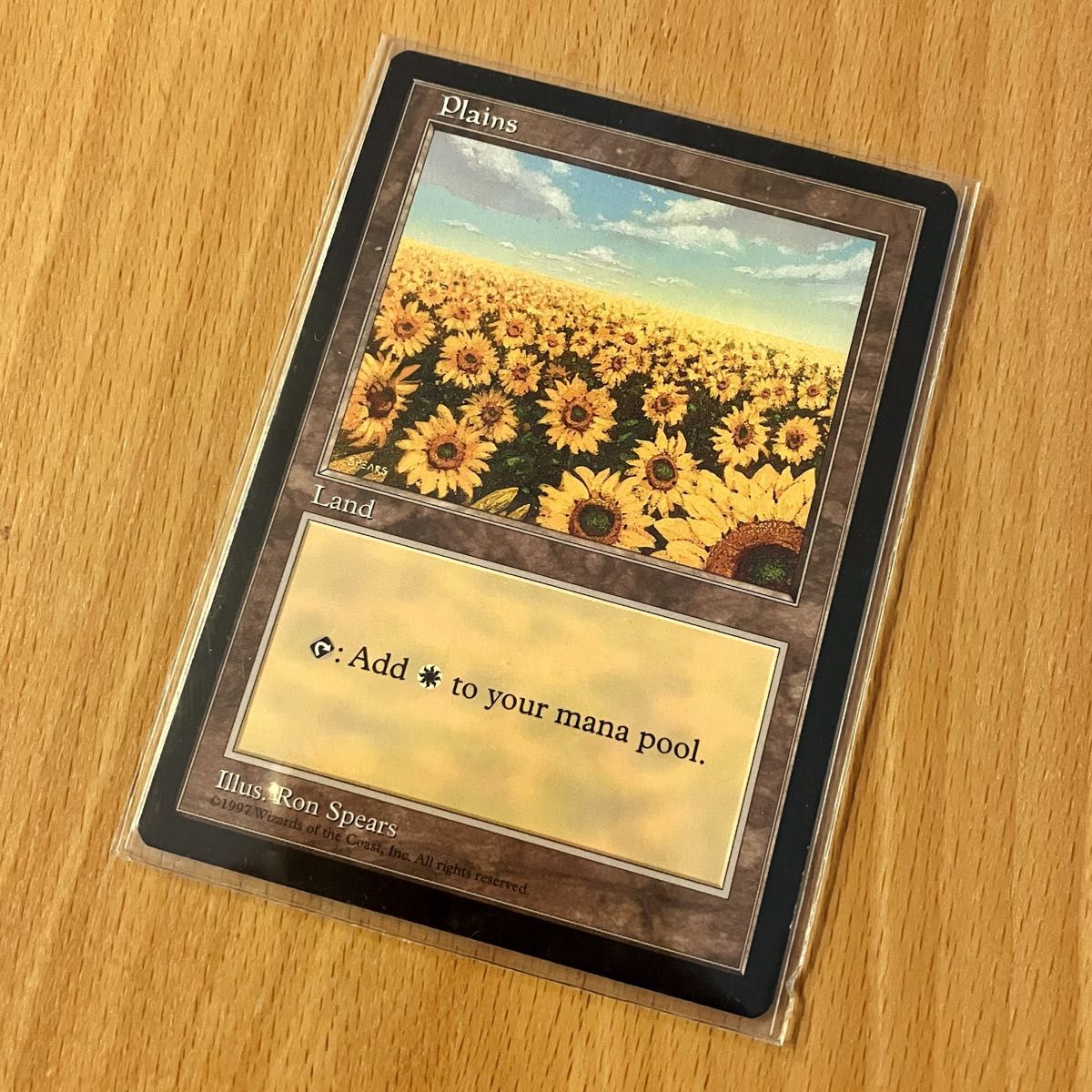 MTG 平地 Plains ひまわり APACランド プロモーションカード 土地 黒枠 旧枠 英語版 マジック：ザ・ギャザリング