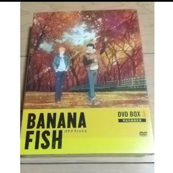 BANANA FISH DVD BOX 3 完全生産限定版 バナナフィッシュ セル版 アッシュ 