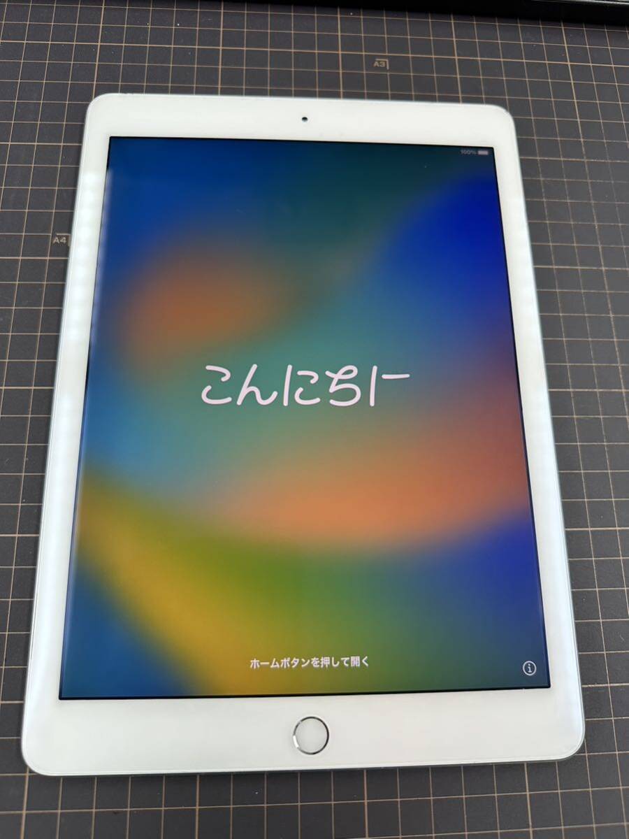 iPad Pro 9.7inch A1673 Junk 