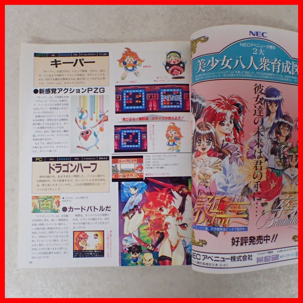 ◇ゲーム雑誌 美少女伝説 Memorial’93 総力メモリアル美少女 カタログ・特大ポスター付 マガジンボックス【10_画像3