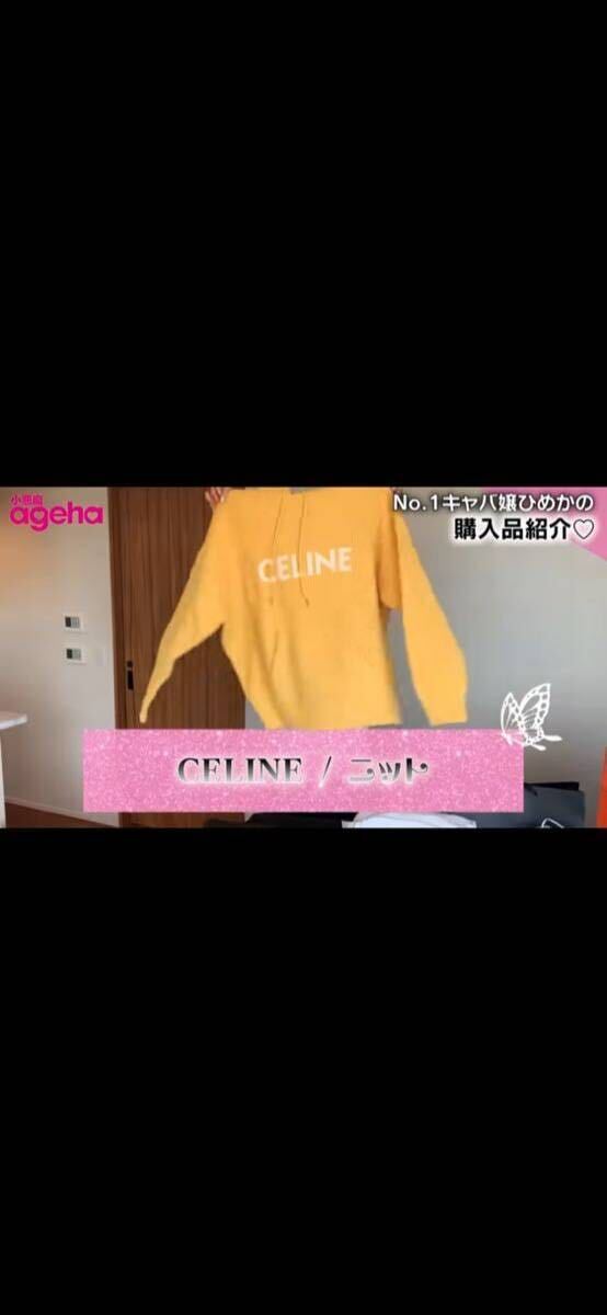 1円 未使用【幻の逸品】CELINE 21AW セリーヌ ニットパーカー XSユニセックス可 ニット プルオーバ― パーカー ひめか着用 定価26万_画像3