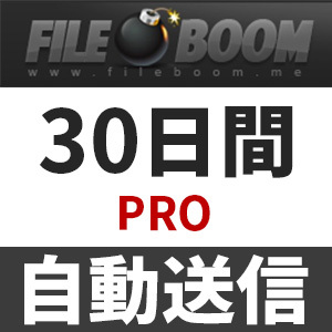 【自動送信】Fileboom PRO プレミアムクーポン 30日間 安心のサポート付【即時対応】_画像1