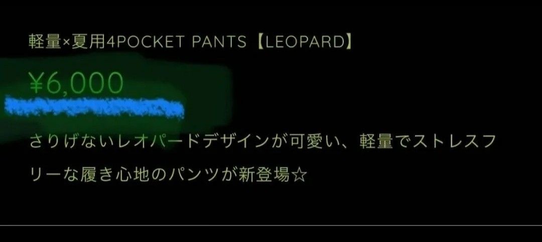 NieR clothing NieR 軽量　4POCKET PANTS【LEOPARD】 ロングパンツ ズボン ワイドパンツ