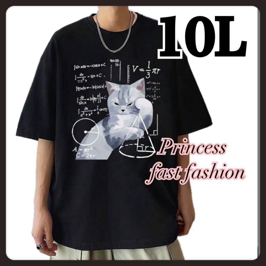 【10L】理数系 猫ちゃん＊半袖Tシャツ＊大きいサイズ＊メンズ＊レディース_画像1