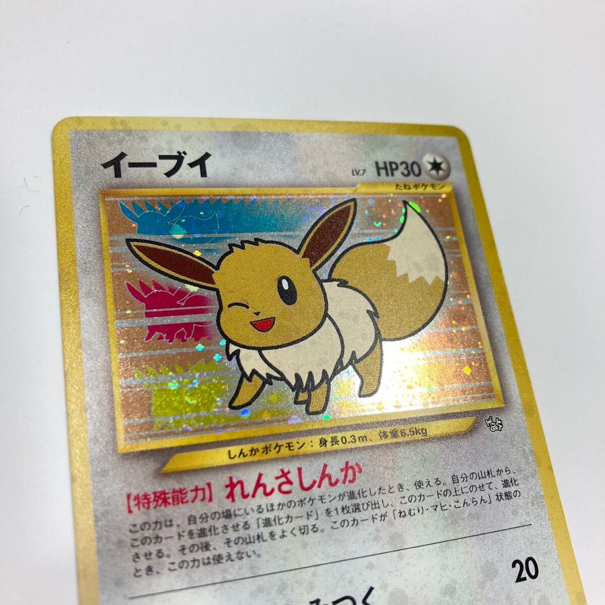 1円〜保管品 美品 ポケモンカード ポケカ イーブイ ファンクラブ 特製カード れんさしんか LV.7 No.133 旧裏面_画像8