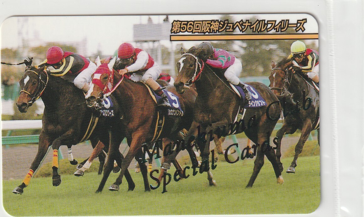  Pro * Ad Rainbow card No.916 no. 56 times Hanshin jubena il Filly z( unopened certificate attaching )