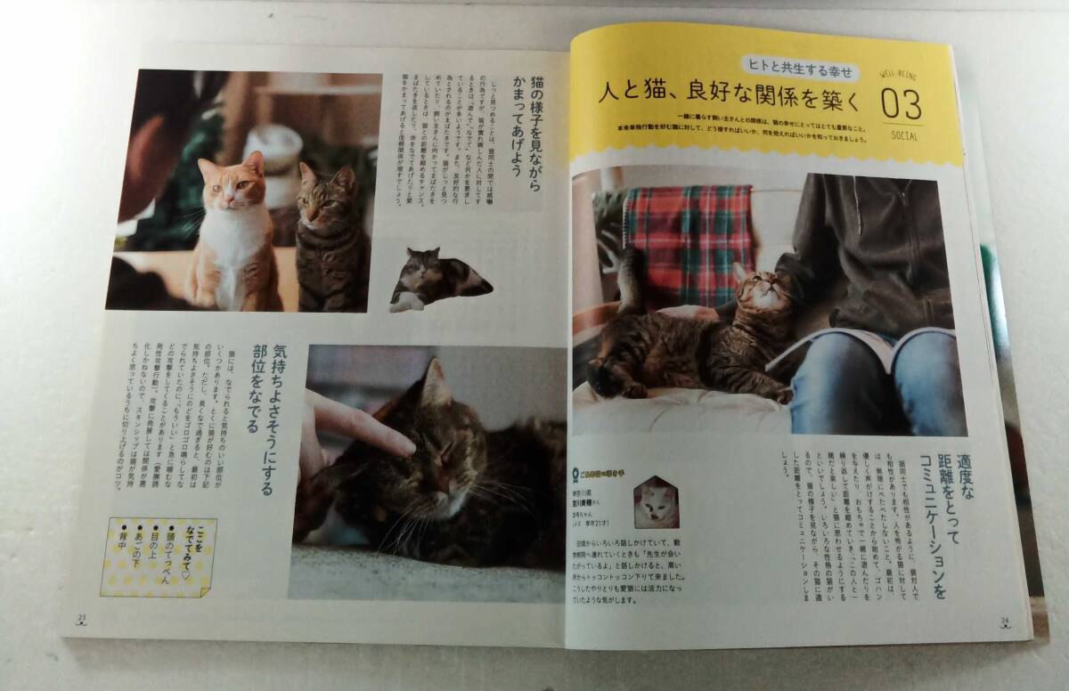 ねこのきもち 2021年 11月号 vol.198 付録なし ３つの幸せが猫を長生きにするらしい 若いうちから意識して。猫の「足腰」を鍛えよう！_画像6