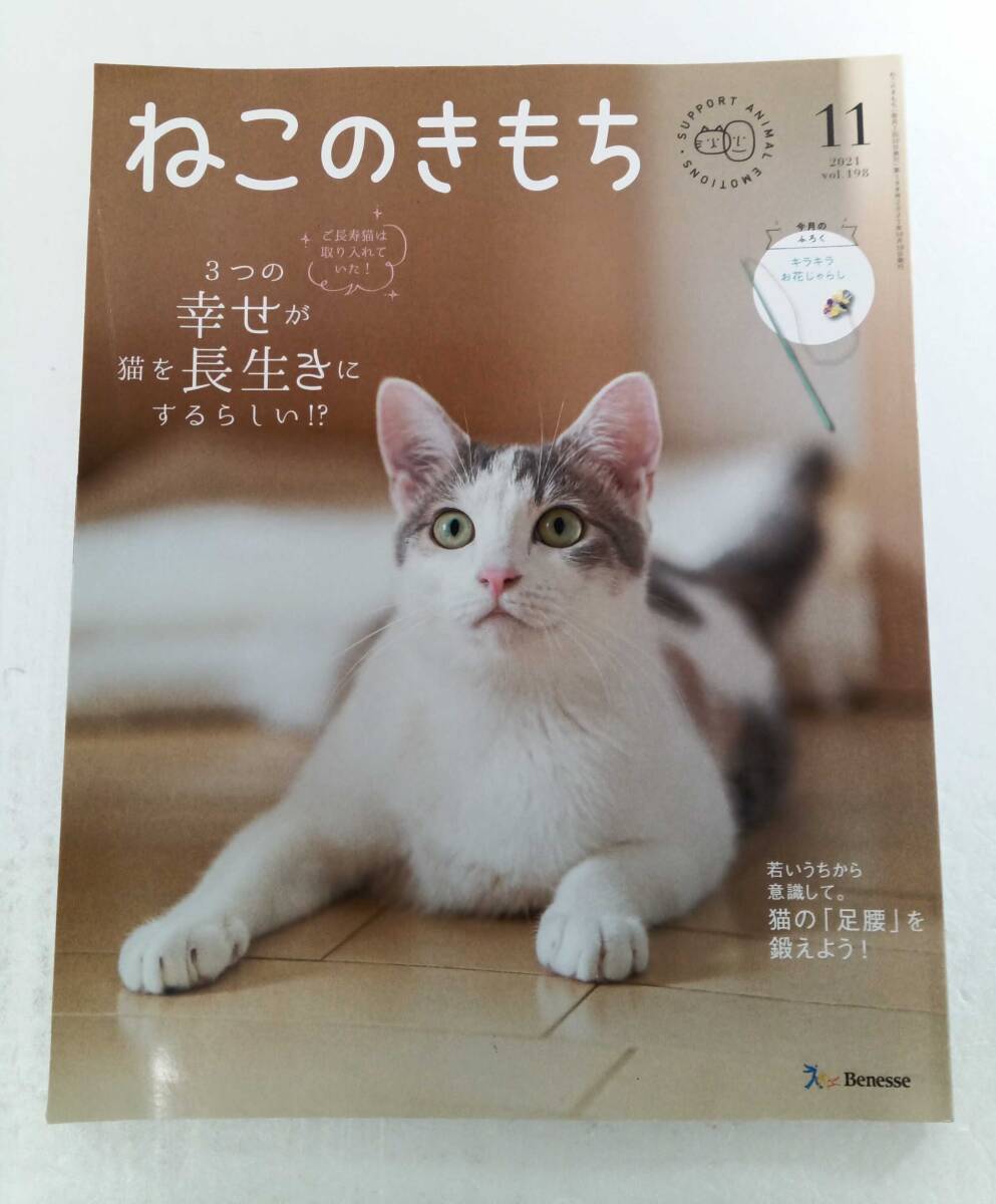 ねこのきもち 2021年 11月号 vol.198 付録なし ３つの幸せが猫を長生きにするらしい 若いうちから意識して。猫の「足腰」を鍛えよう！_画像1