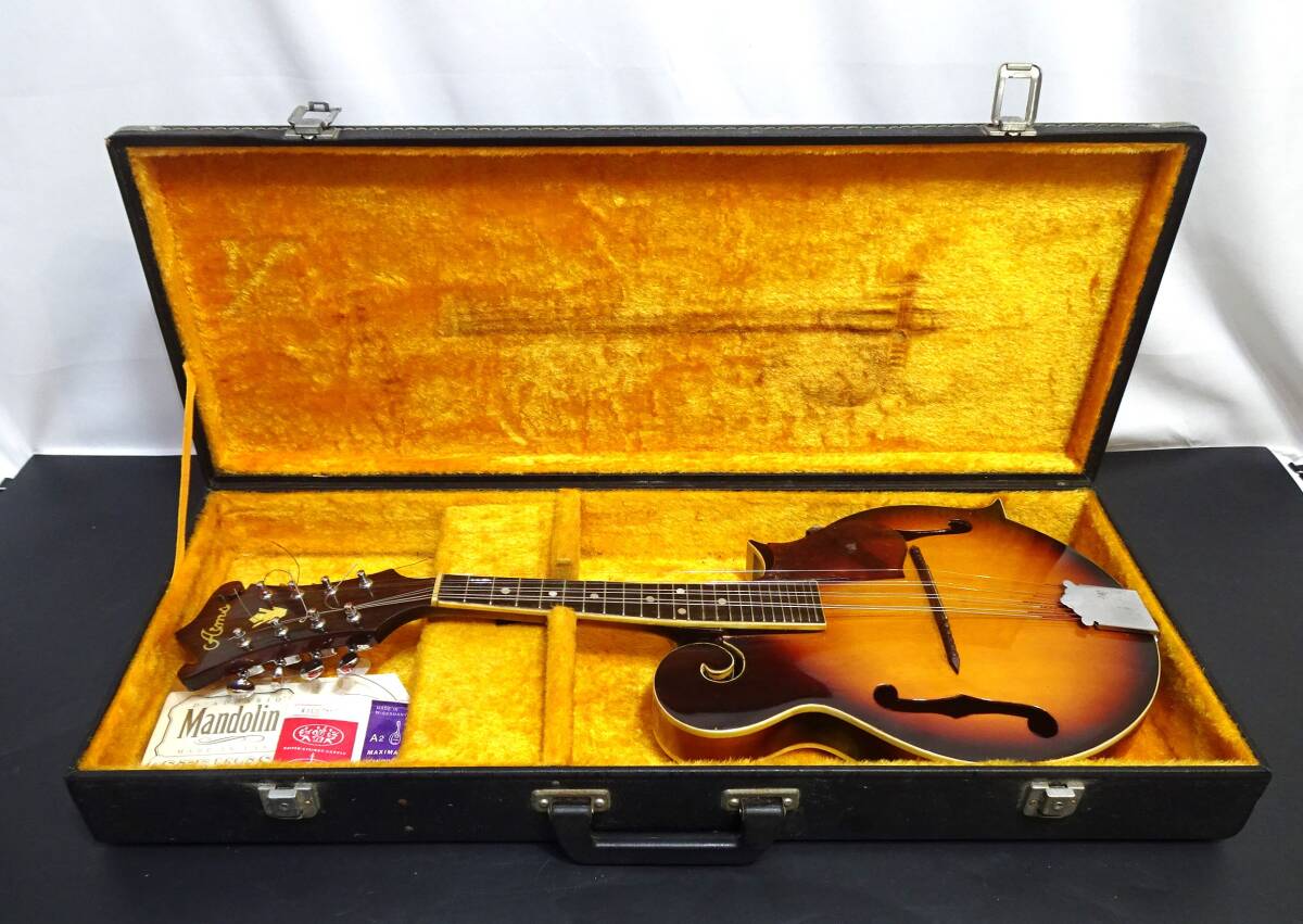  Junk mandolin FLATMANDOLIN Aims FM-40 musical instruments hard case attaching 