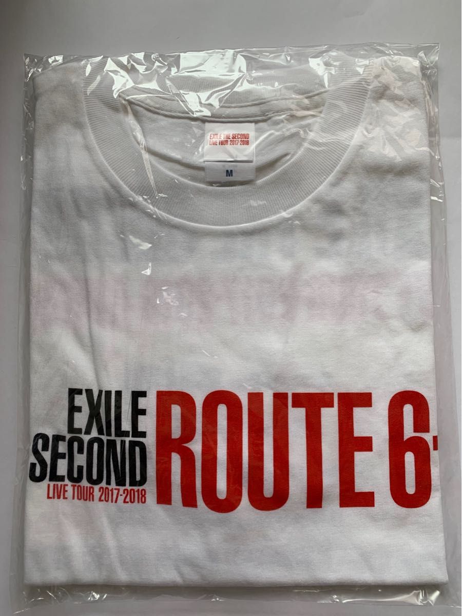 【未開封】EXILE THE SECOND Tシャツ