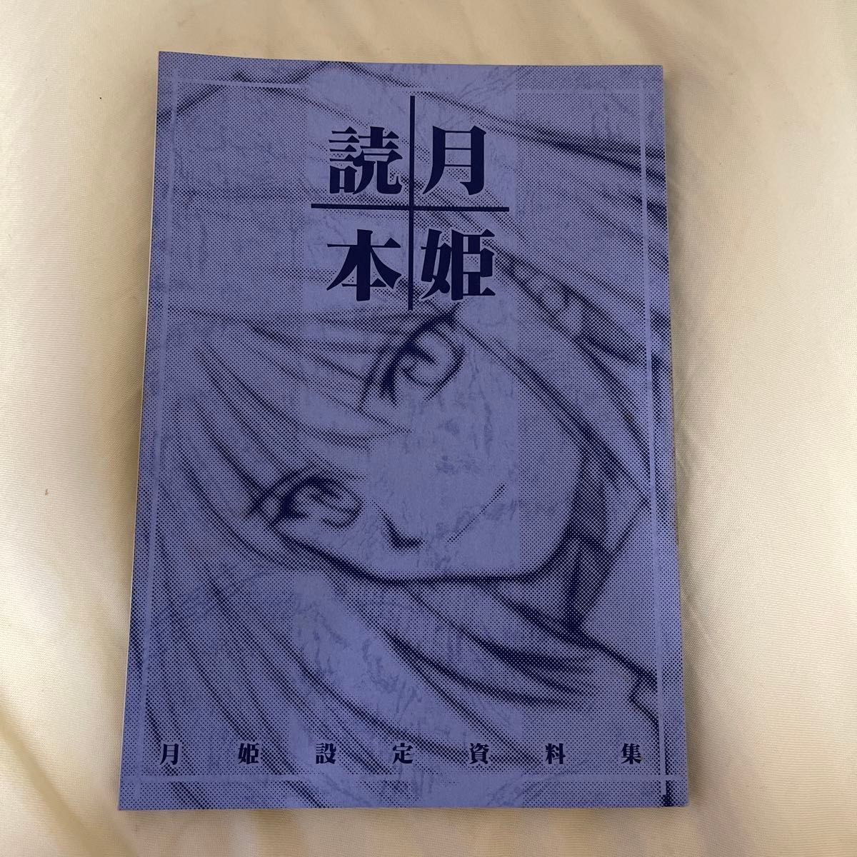 月姫読本 武内崇 奈須きのこ TYPE-MOON 青本 設定資料集 月姫 月姫読本 武内崇 奈須きのこ TYPE-MOON 青本 設定資料集 月姫