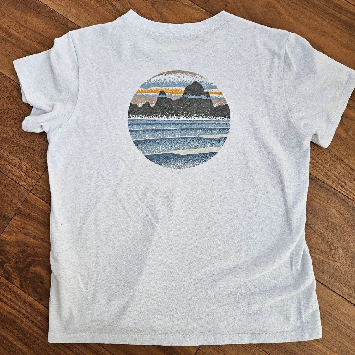 patagonia スカイラインステンシルレスポンシビリティTシャツ Mサイズ