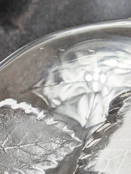 未使用 SOGA GLASS 曽我ガラス 5点セット カントリーフィールド フラワー柄 デザートボウル ガラス食器 ガラス皿 昭和レトロ HS0126_画像8