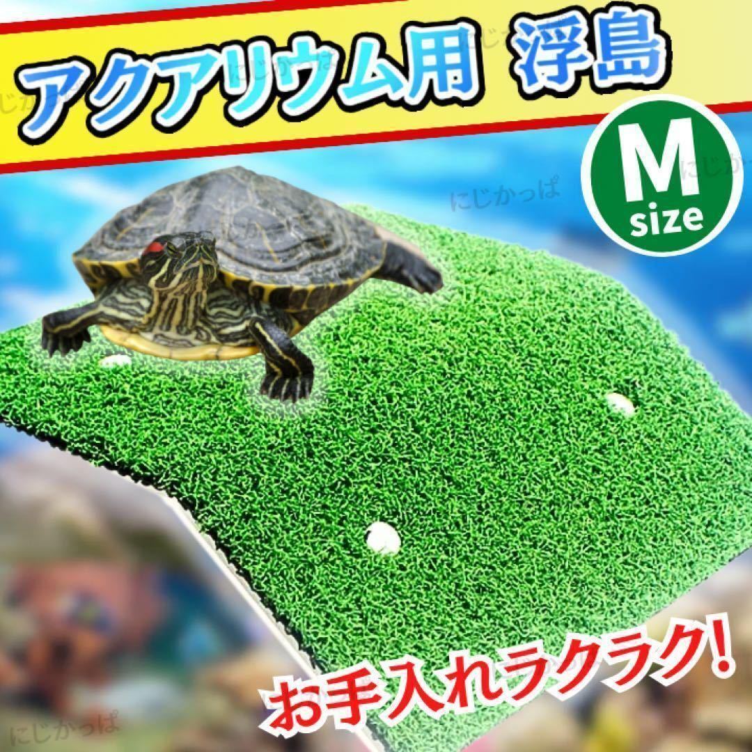  reptiles turtle tortoise comming off island tank stand dok floating turtle .. turtle. day hatchet ... pcs aquarium 