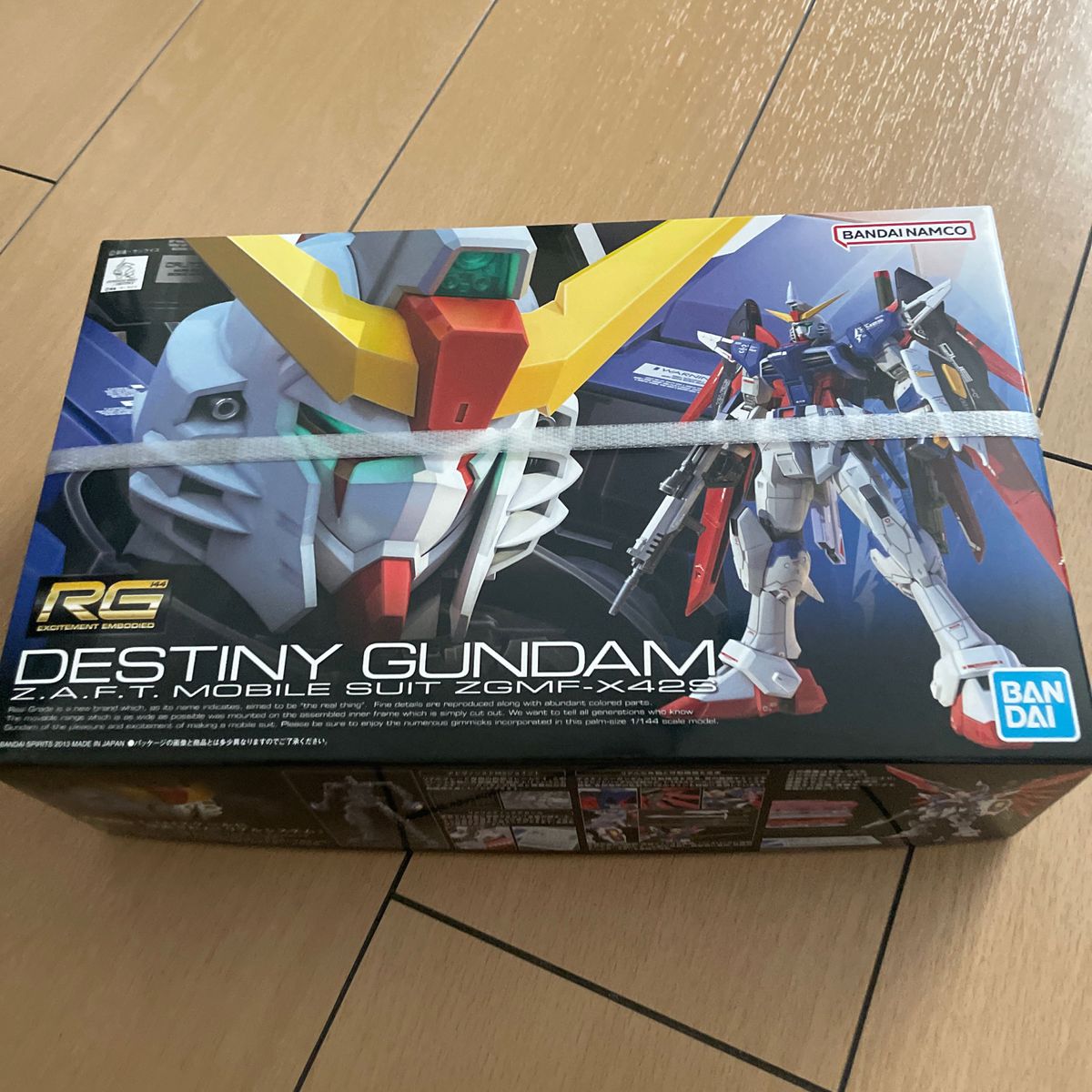 機動戦士ガンダムSEED DESTINY RG デスティニーガンダム ガンプラ