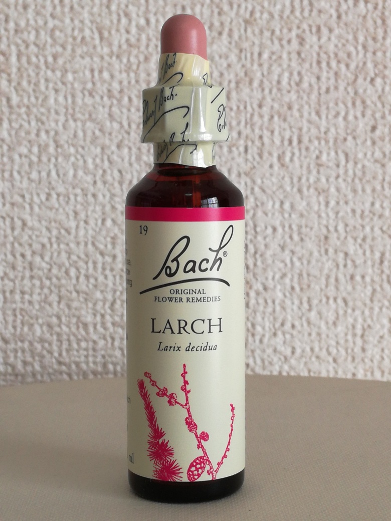 ラーチ バッチフラワーエッセンス レメディ ラーチ 20ml バッチフラワー_画像1