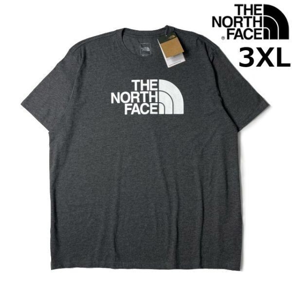 1円～!売切!【正規新品】THE NORTH FACE S/S HALF DOME TEE 半袖 Tシャツ US限定 ハーフドーム ビッグサイズ(3XL)ダークグレー 180902-15_画像1