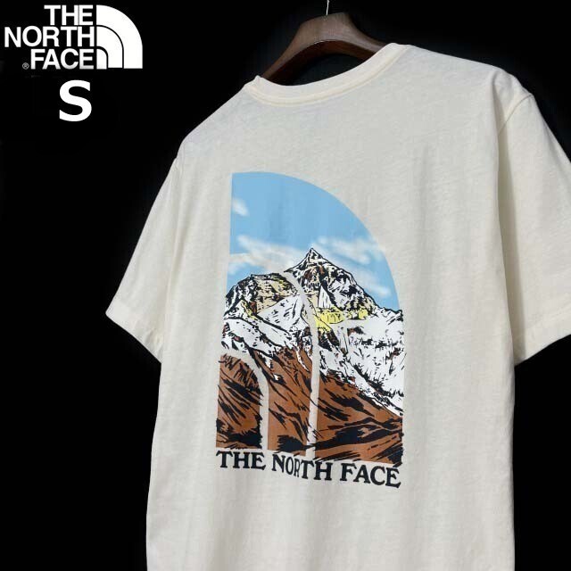 1円～!売切!【正規新品】THE NORTH FACE◆S/S GRAPHIC INJECTION TEE 半袖 Tシャツ US限定 ビッグロゴ グラフィック 上質(S)白 180902-15_画像2