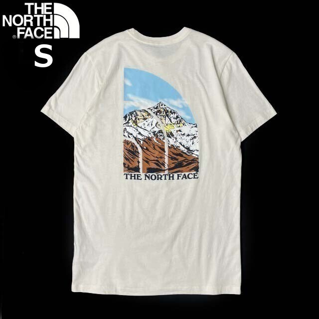 1円～!売切!【正規新品】THE NORTH FACE◆S/S GRAPHIC INJECTION TEE 半袖 Tシャツ US限定 ビッグロゴ グラフィック 上質(S)白 180902-15_画像3