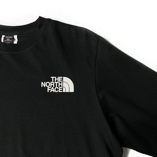 1円～!売切!【正規新品】THE NORTH FACE◆L/S BOX NSE TEE 長袖 Tシャツ ロンT US限定 ボックスロゴ バックプリント(L)黒 180902-20_画像6