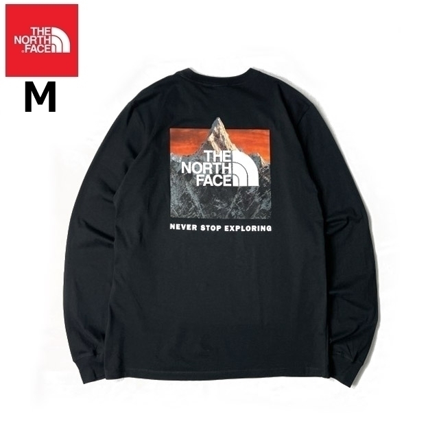 1円～!売切!【正規新品】THE NORTH FACE◆L/S BOX NSE TEE 長袖 Tシャツ ロンT US限定 ボックスロゴ バックプリント(M)黒 180902-20_画像3