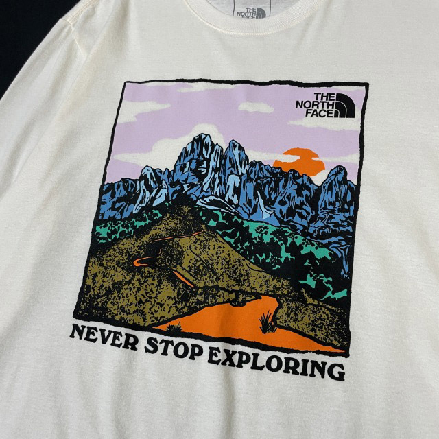 1円～!売切!【正規新品】THE NORTH FACE◆L/S GRAPHIC INJECTION TEE 長袖 Tシャツ ロンT US限定 グラフィック 上質(XXL)白 180902-5_画像5