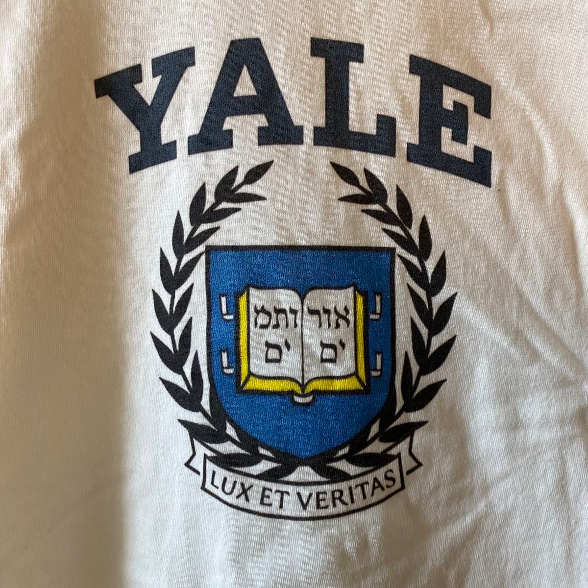 YALE カレッジ ロゴ リンガー トリム Tシャツ チャンピオン カレッジ Tシャツ 半袖 コットン 古着