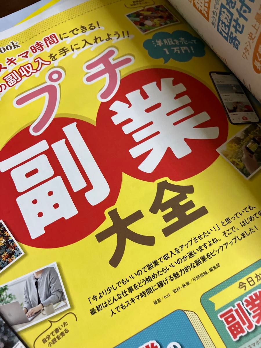 18日まで掲載　ＬＤＫ（エルディーケー） ２０２４年２月号 （晋遊舎） LDK 晋遊舎同梱割