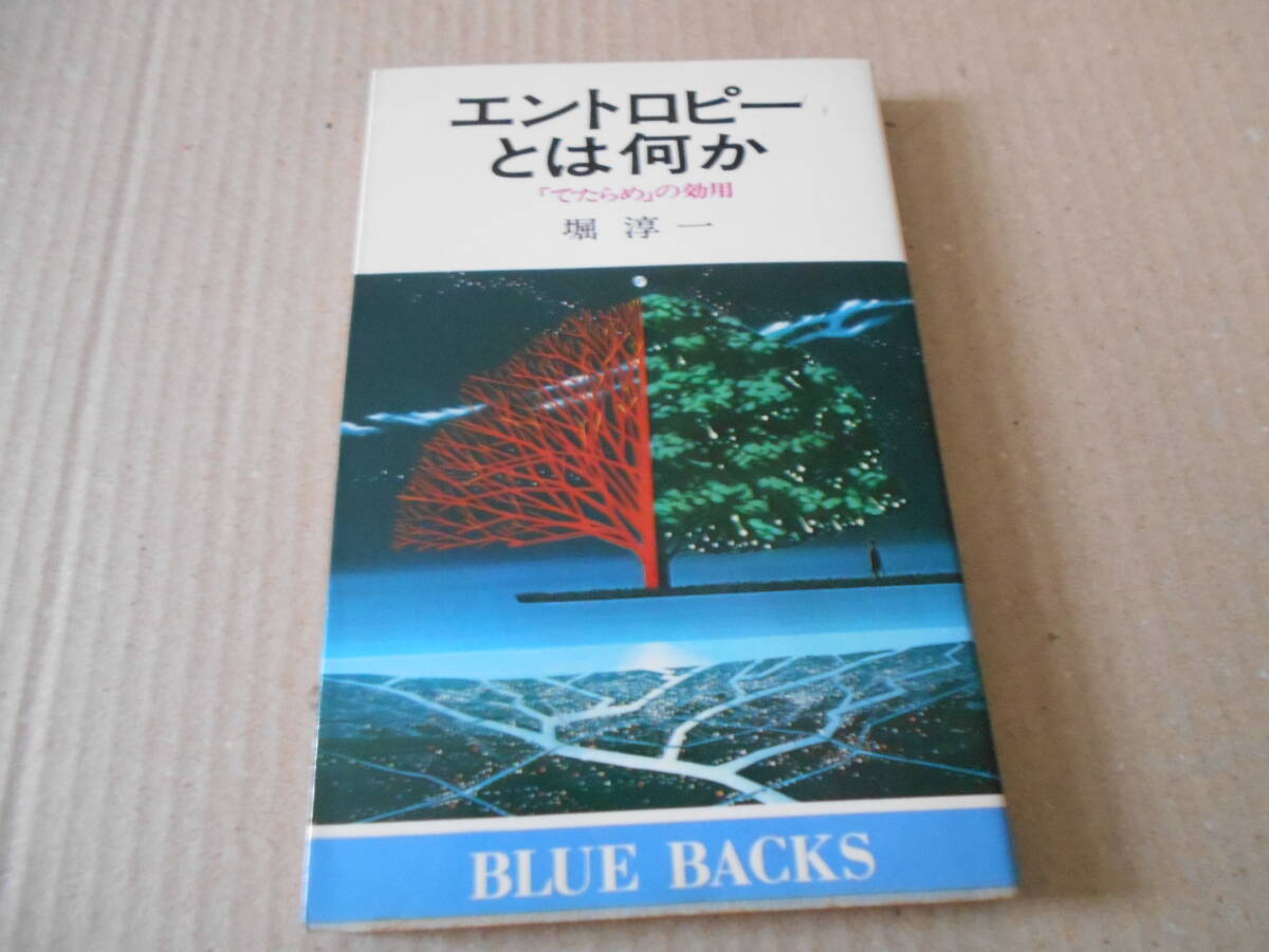 ◎エントロピーとは何か　「でたらめ」の効用　堀　淳一著　ブルーバックス　講談社　第10刷　中古　同梱歓迎　送料185円　_画像1