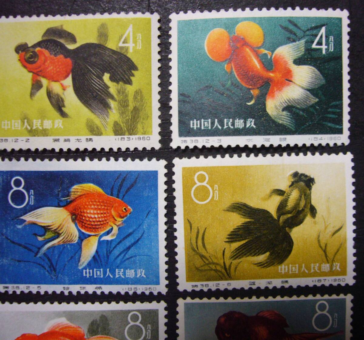 [ valuable!] China stamp [ Special 38 1960 year goldfish series * single one-side 12 kind .] unused NH type cost 34 ten thousand 
